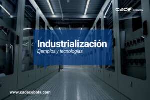 Industrializacion: Diferencia por sectores
